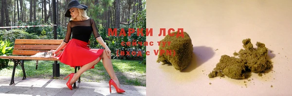 PSILOCYBIN Козельск