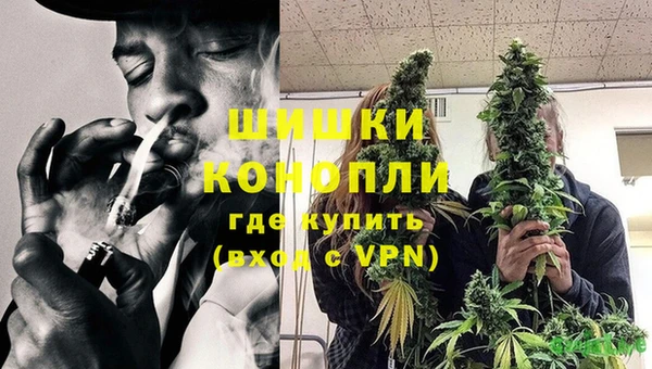 PSILOCYBIN Козельск