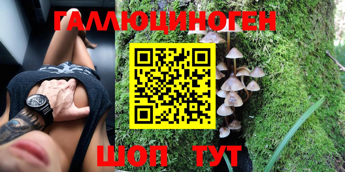 купить закладку  Вход с VPN  Темрюк  Галлюциногенные грибы GOLDEN TEACHER 