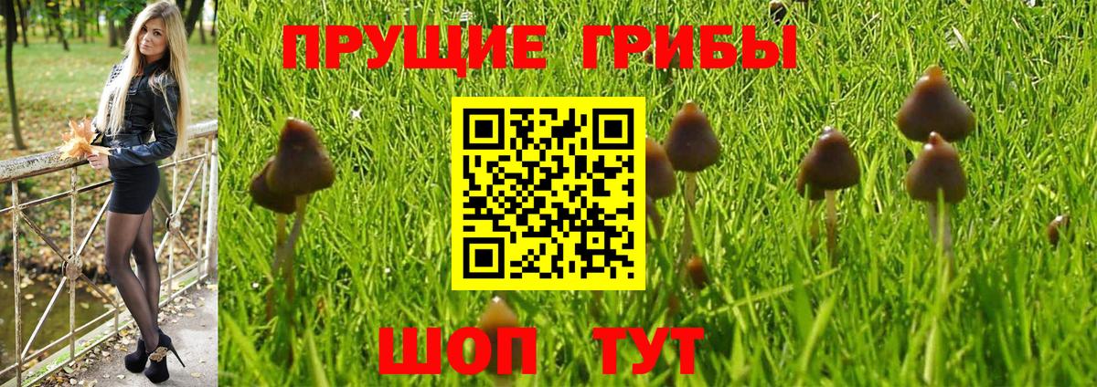 Галлюциногенные грибы Magic Shrooms Темрюк