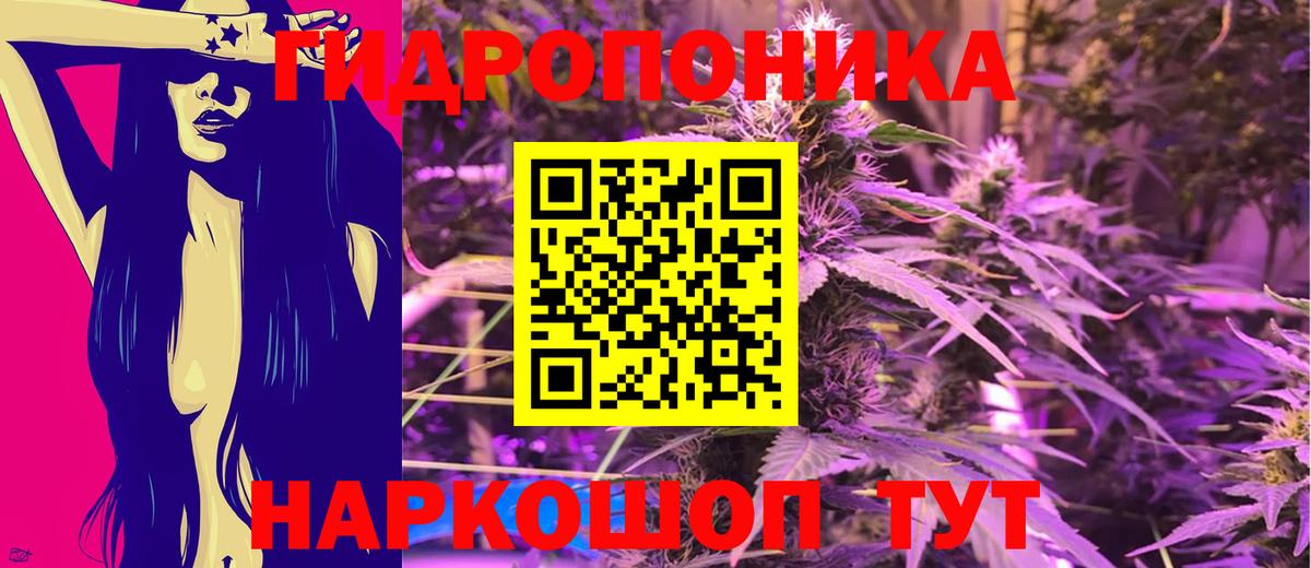 Каннабис планчик Темрюк
